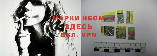 твердый Арсеньев