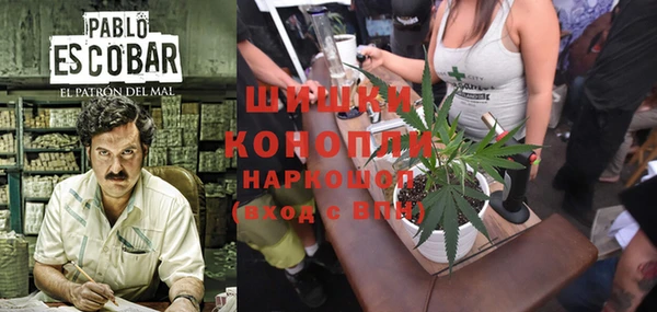 прущие крисы Аркадак