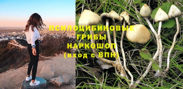 прущие крисы Аркадак