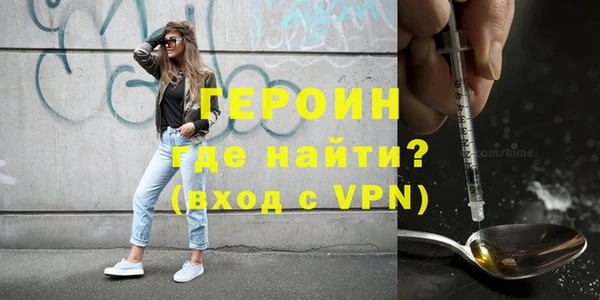 шишки Ельня